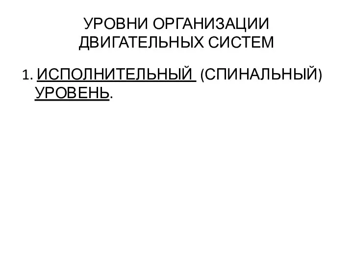 УРОВНИ ОРГАНИЗАЦИИ ДВИГАТЕЛЬНЫХ СИСТЕМ 1. ИСПОЛНИТЕЛЬНЫЙ (СПИНАЛЬНЫЙ) УРОВЕНЬ.