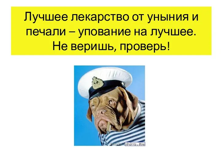 Лучшее лекарство от уныния и печали – упование на лучшее. Не веришь, проверь!