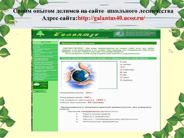 Своим опытом делимся на сайте школьного лесничества Адрес сайта:http://galantus40.ucoz.ru/