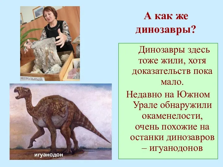 А как же динозавры? Динозавры здесь тоже жили, хотя доказательств