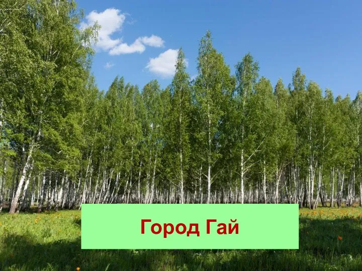 Город Гай