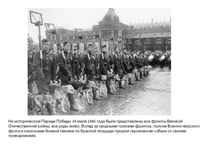 На историческом Параде Победы 24 июля 1945 года были представлены