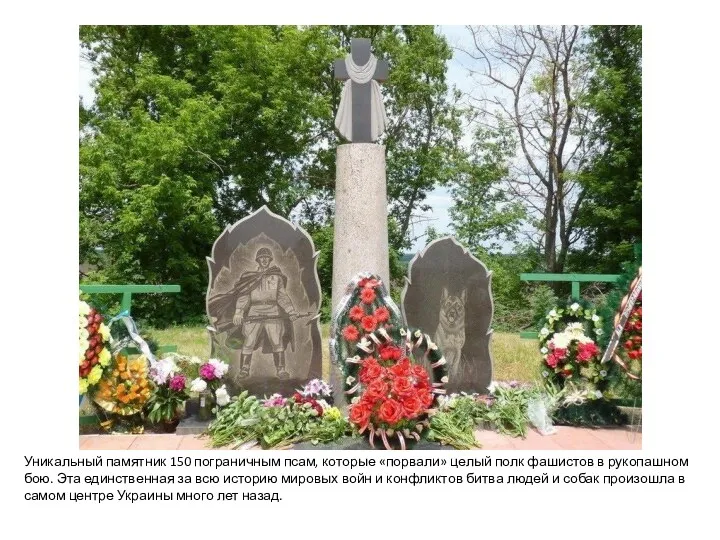 Уникальный памятник 150 пограничным псам, которые «порвали» целый полк фашистов