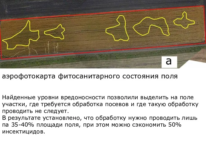 аэрофотокарта фитосанитарного состояния поля Найденные уровни вредоносности позволили выделить на