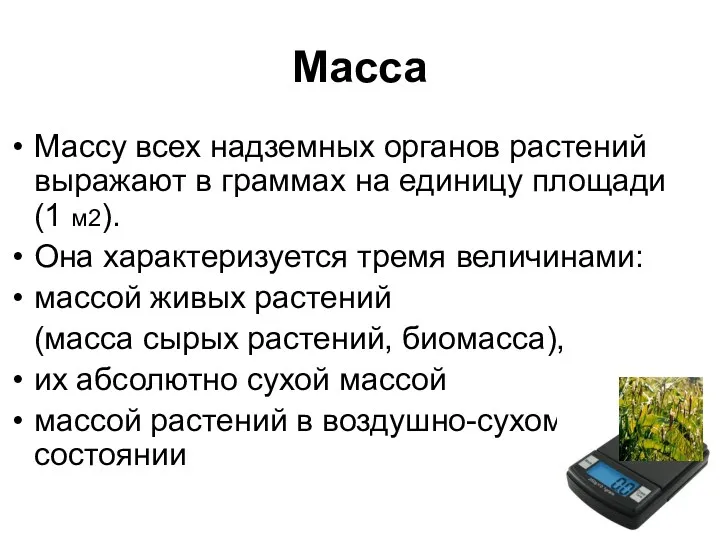 Масса Массу всех надземных органов растений выражают в граммах на