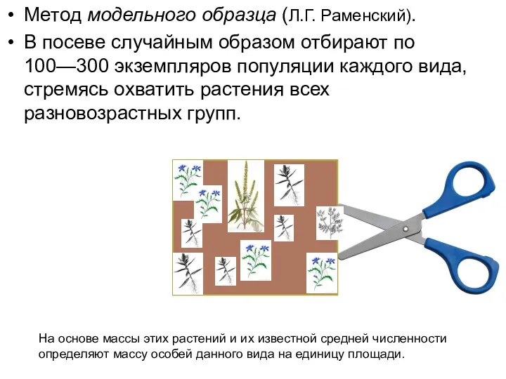 Метод модельного образца (Л.Г. Раменский). В посеве случайным образом отбирают