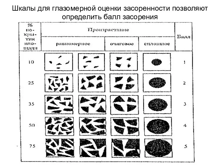 Шкалы для глазомерной оценки засоренности позволяют определить балл засорения