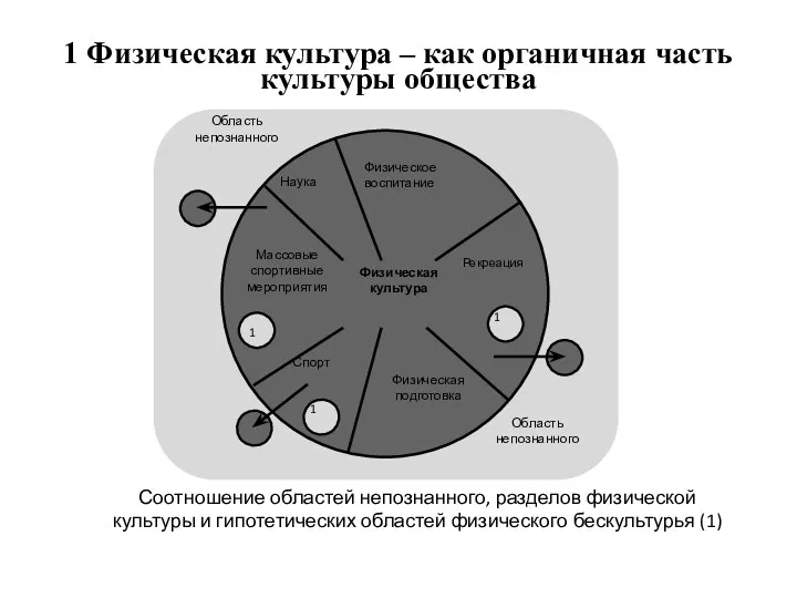 1 Физическая культура – как органичная часть культуры общества Соотношение