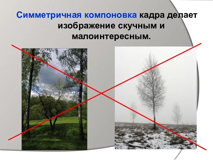 Симметричная компоновка кадра делает изображение скучным и малоинтересным.