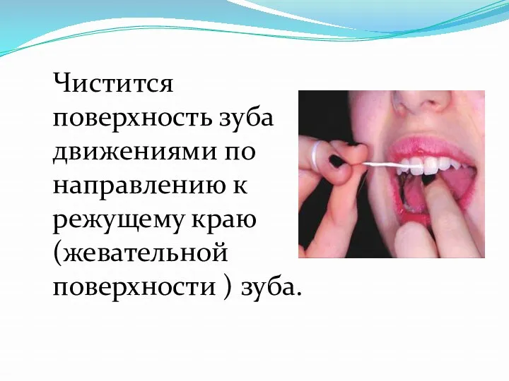 Чистится поверхность зуба движениями по направлению к режущему краю (жевательной поверхности ) зуба.