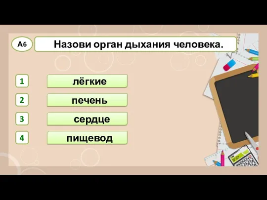 лёгкие пищевод сердце печень 1 2 3 4 А6 Назови орган дыхания человека.