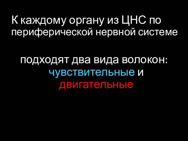 К каждому органу из ЦНС по периферической нервной системе подходят два вида волокон: чувствительные и двигательные