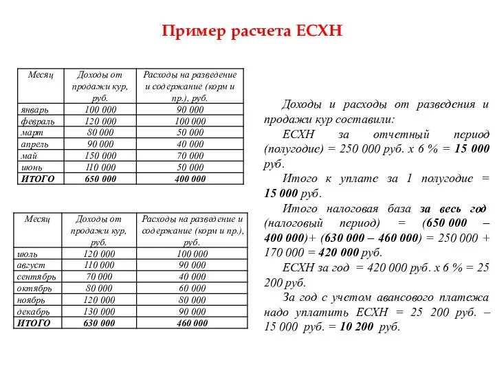 Пример расчета ЕСХН Доходы и расходы от разведения и продажи
