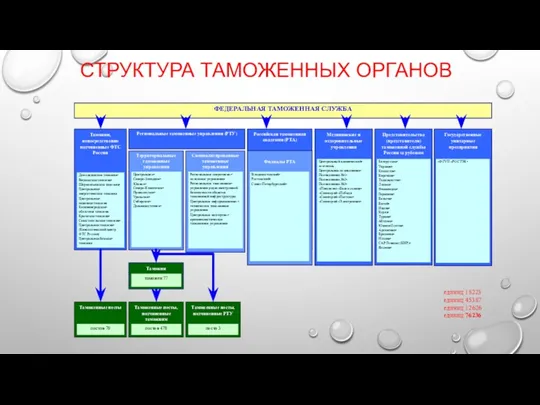 СТРУКТУРА ТАМОЖЕННЫХ ОРГАНОВ Таможенные посты, подчиненные таможням Таможенные посты, подчиненные