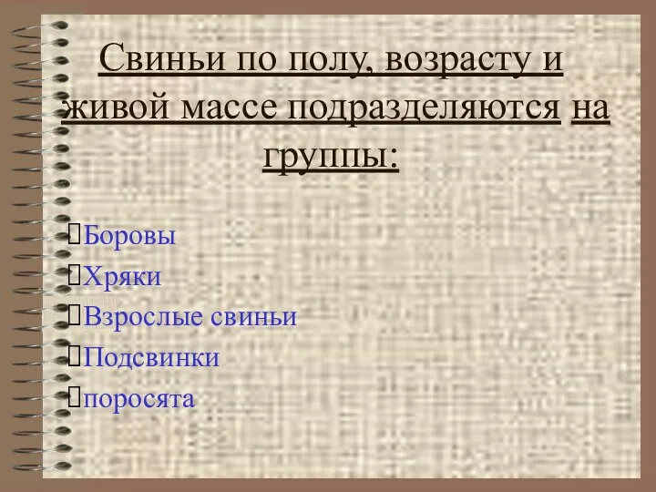 Свиньи по полу, возрасту и живой массе подразделяются на группы: Боровы Хряки Взрослые свиньи Подсвинки поросята