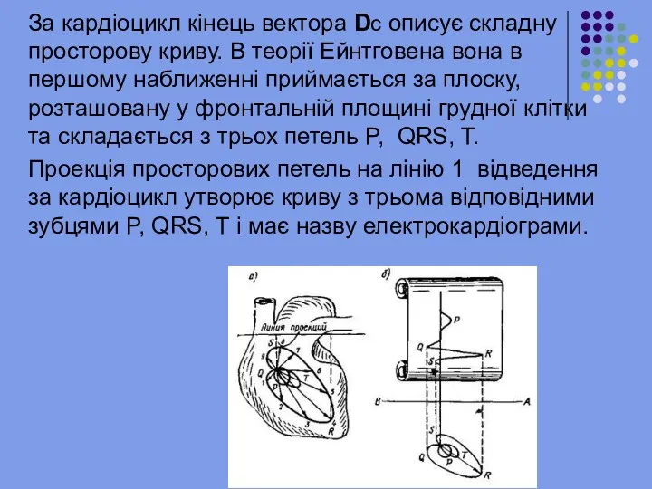 За кардіоцикл кінець вектора Dc описує складну просторову криву. В