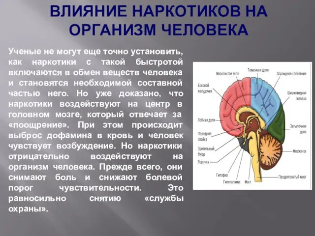 Ученые не могут еще точно установить, как наркотики с такой