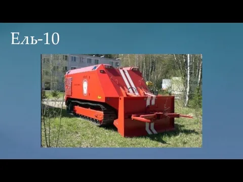Ель-10