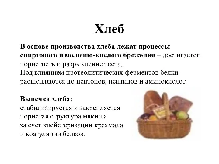 Хлеб В основе производства хлеба лежат процессы спиртового и молочно-кислого