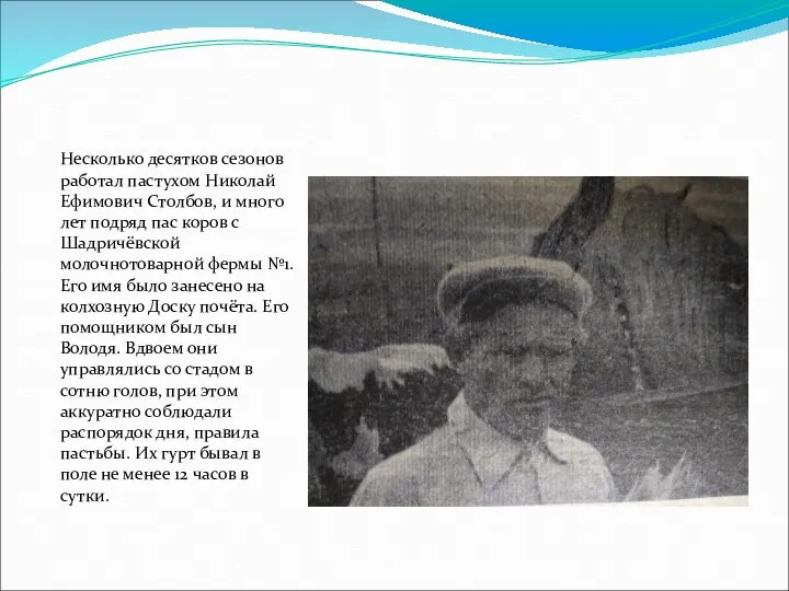 Несколько десятков сезонов работал пастухом Николай Ефимович Столбов, и много