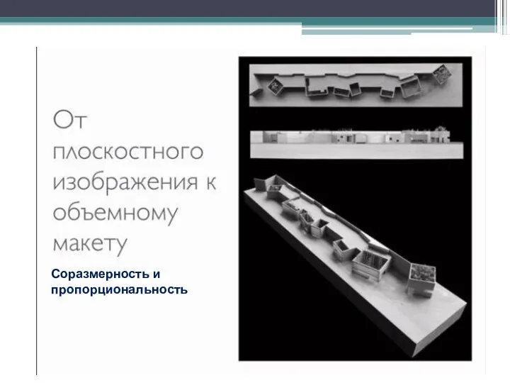 Соразмерность и пропорциональность