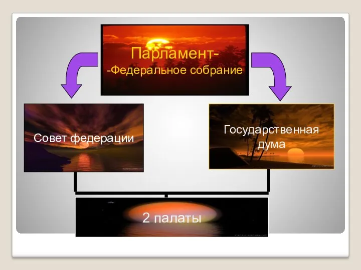 Парламент- -Федеральное собрание Совет федерации Государственная дума 2 палаты