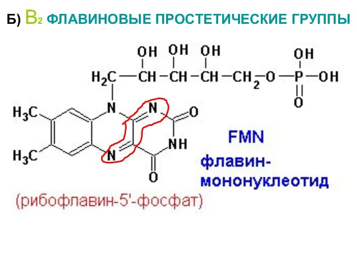 Б) В2 ФЛАВИНОВЫЕ ПРОСТЕТИЧЕСКИЕ ГРУППЫ