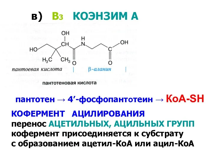 в) В3 КОЭНЗИМ А КОФЕРМЕНТ АЦИЛИРОВАНИЯ перенос АЦЕТИЛЬНЫХ, АЦИЛЬНЫХ ГРУПП