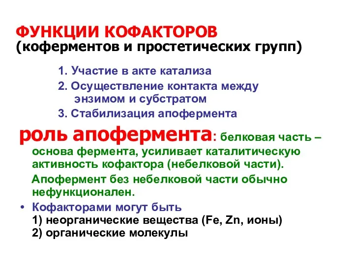 1. Участие в акте катализа 2. Осуществление контакта между энзимом