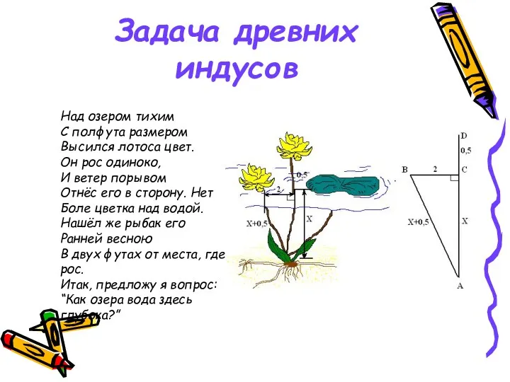 Задача древних индусов Над озером тихим С полфута размером Высился