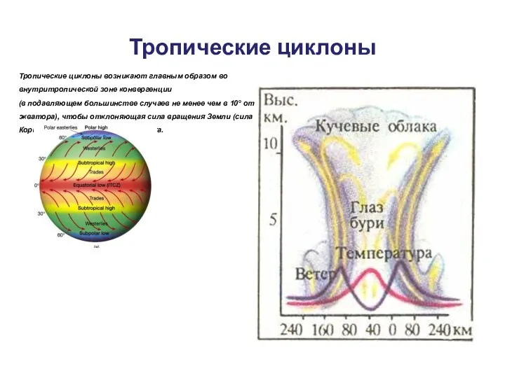 Тропические циклоны Тропические циклоны возникают главным образом во внутритропической зоне