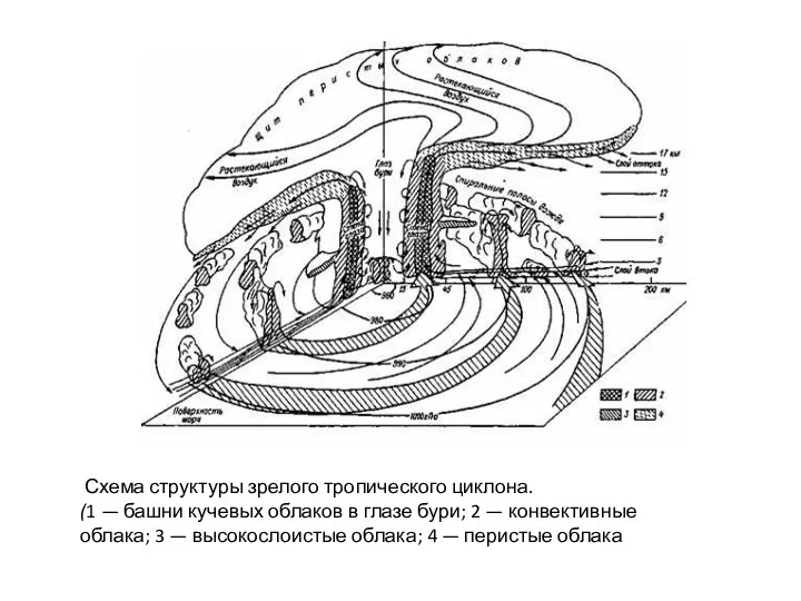 Схема структуры зрелого тропического циклона. (1 — башни кучевых облаков