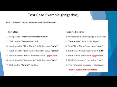 Test Case Example (Negative)