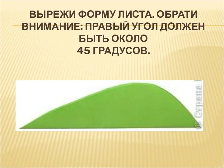 ВЫРЕЖИ ФОРМУ ЛИСТА. ОБРАТИ ВНИМАНИЕ: ПРАВЫЙ УГОЛ ДОЛЖЕН БЫТЬ ОКОЛО 45 ГРАДУСОВ.