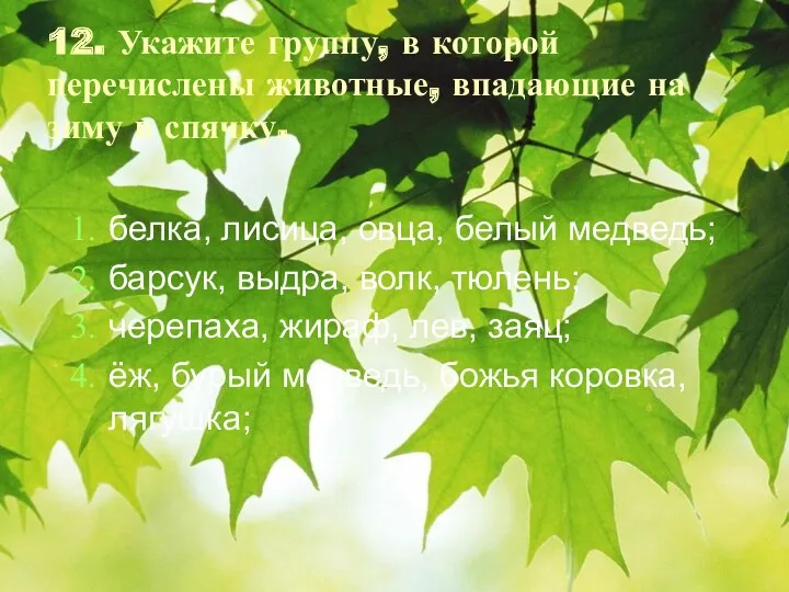 12. Укажите группу, в которой перечислены животные, впадающие на зиму