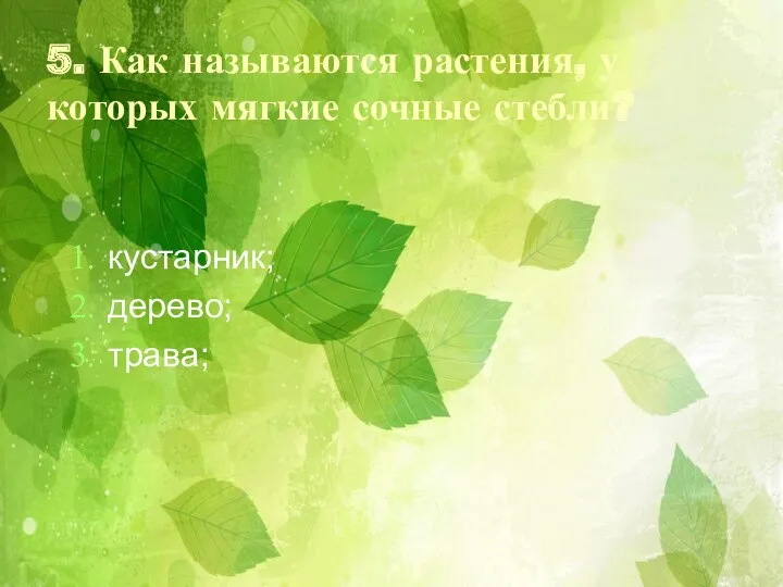 5. Как называются растения, у которых мягкие сочные стебли? кустарник; дерево; трава;