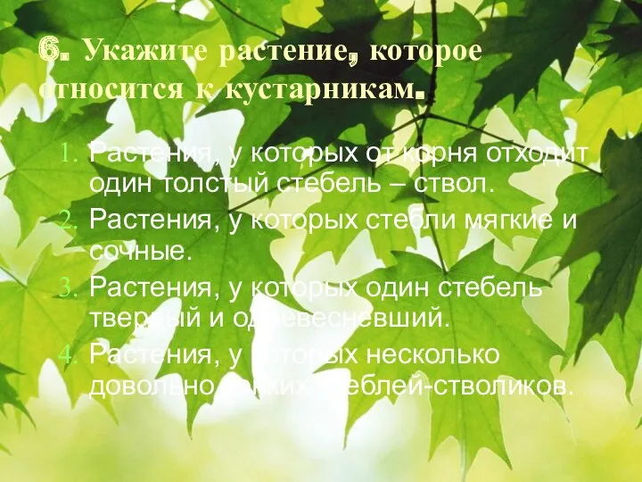 6. Укажите растение, которое относится к кустарникам. Растения, у которых