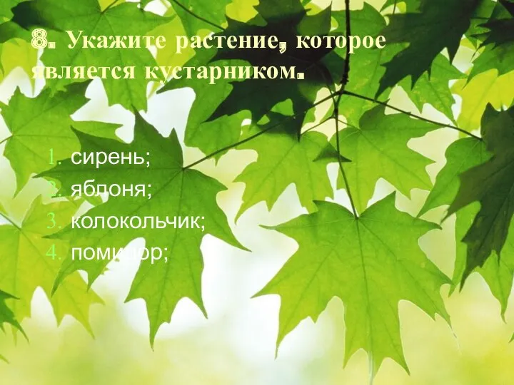 8. Укажите растение, которое является кустарником. сирень; яблоня; колокольчик; помидор;