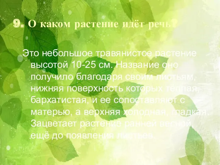 9. О каком растение идёт речь? Это небольшое травянистое растение