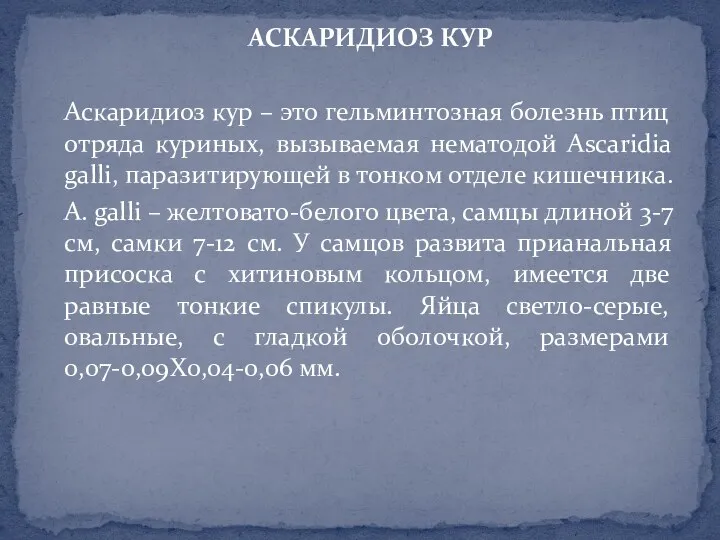 АСКАРИДИОЗ КУР Аскаридиоз кур – это гельминтозная болезнь птиц отряда