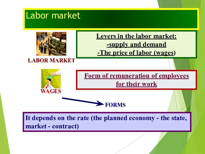 Labor market LABOR MARKET Levers in the labor market: -supply