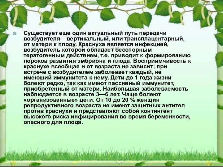 Существует еще один актуальный путь передачи возбудителя – вертикальный, или