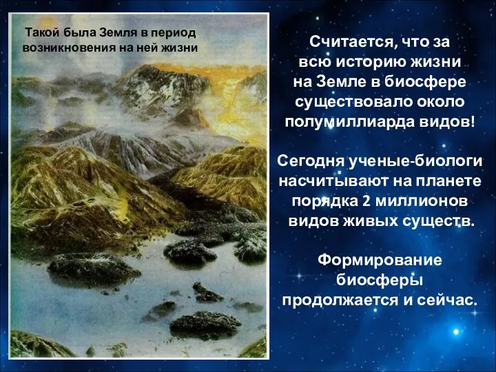 Считается, что за всю историю жизни на Земле в биосфере