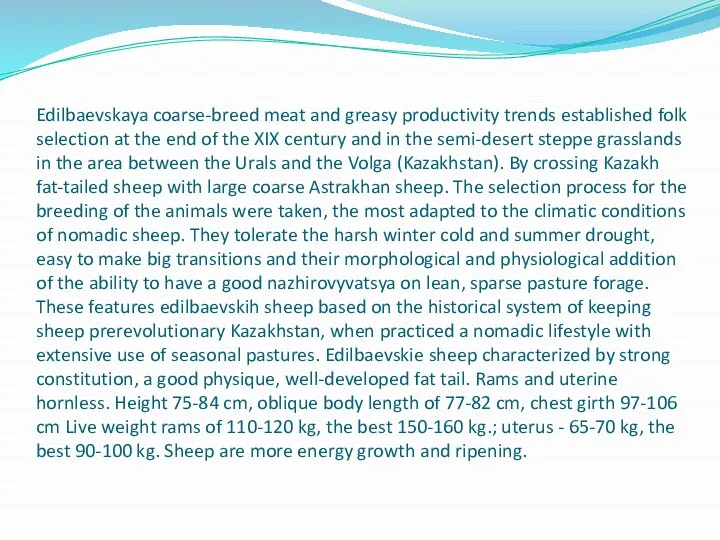 Edilbaevskaya coarse-breed meat and greasy productivity trends established folk selection