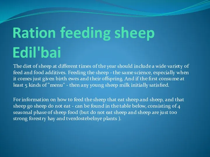 Ration feeding sheep Edil'bai The diet of sheep at different