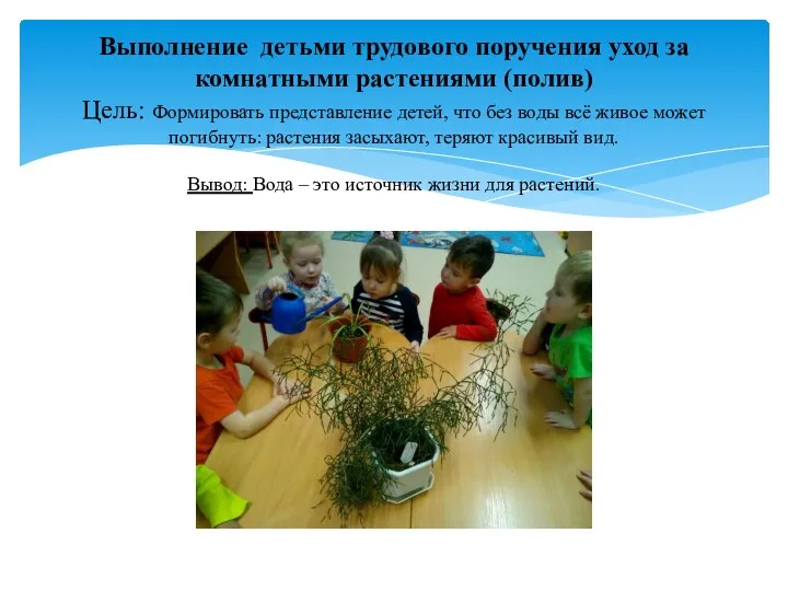 Выполнение детьми трудового поручения уход за комнатными растениями (полив) Цель: