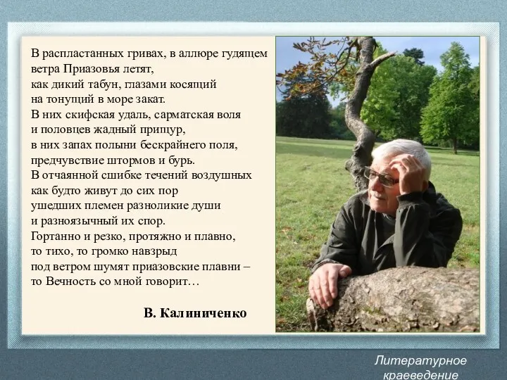 Литературное краеведение Донбасса В распластанных гривах, в аллюре гудящем ветра