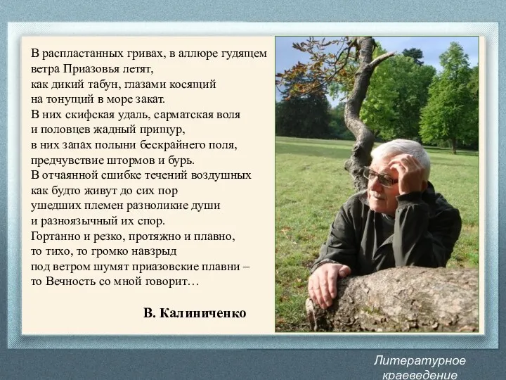 Литературное краеведение Донбасса В распластанных гривах, в аллюре гудящем ветра Приазовья летят, как