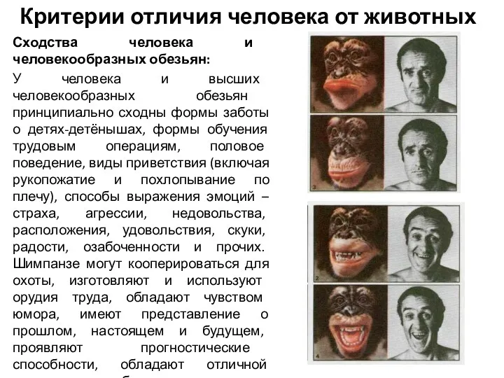 Критерии отличия человека от животных Сходства человека и человекообразных обезьян: