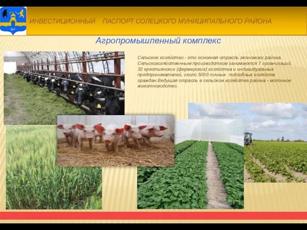 Агропромышленный комплекс Сельское хозяйство - это основная отрасль экономики района.